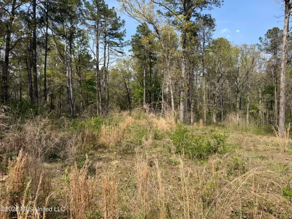 $25,000 | 1967 Smith Cr, Mount Olive, MS 39119