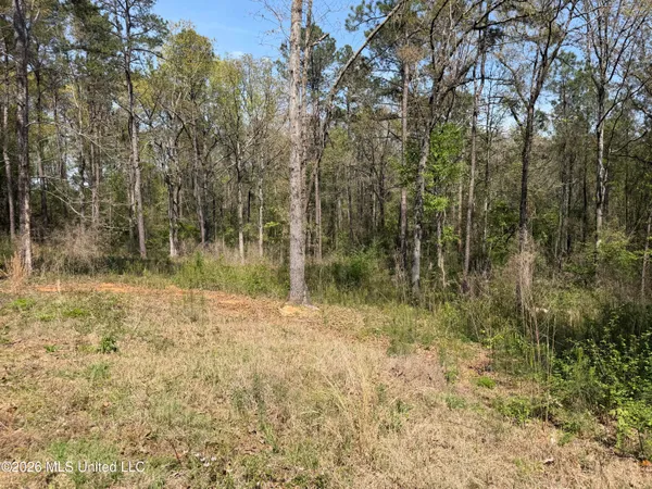 $25,000 | 1967 Smith Cr, Mount Olive, MS 39119