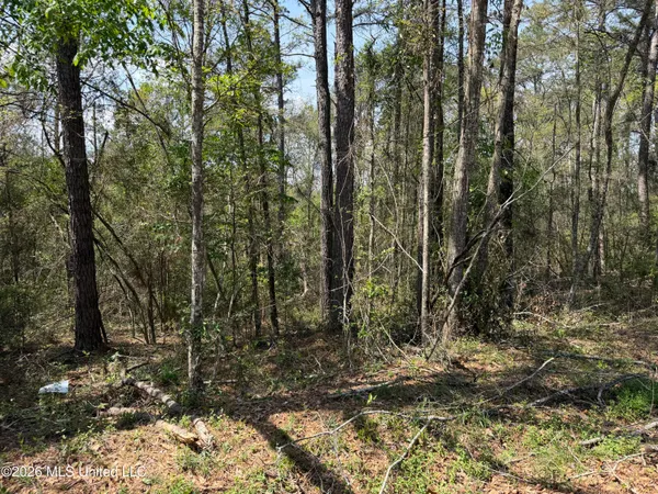 $25,000 | 1967 Smith Cr, Mount Olive, MS 39119