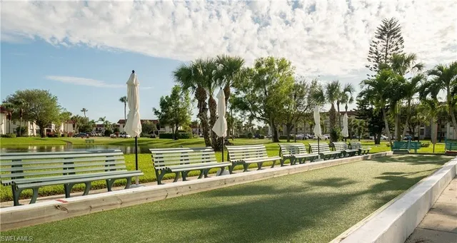 a view of a park with large trees