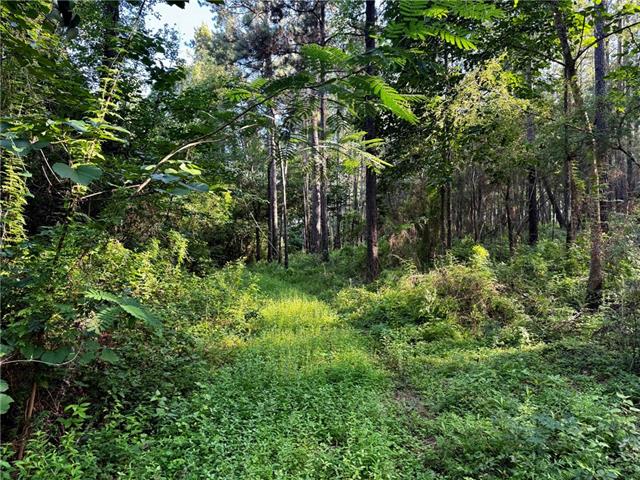 3 Ward Line Road Bogalusa, LA 70427 - Photo 6 of 12