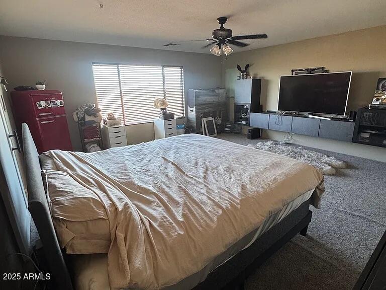 41848 West Hillman Drive Maricopa, AZ 85138 - Photo 11 of 11 a bedroom with a bed and a flat screen tv