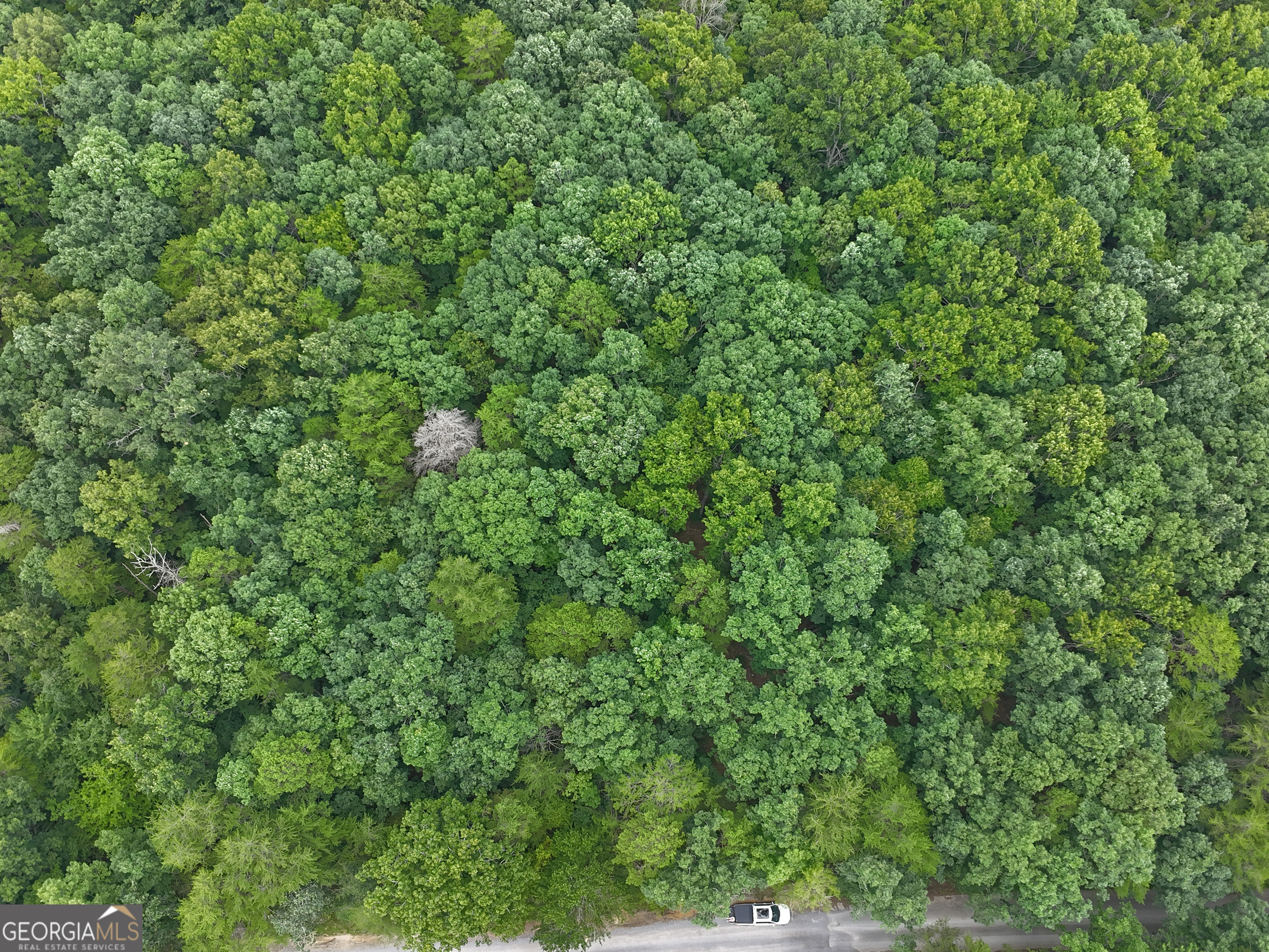 0 Griff Johnson Road Menlo, GA 30731 - Photo 3 of 5 Aerial View of Griff Johnson Rd