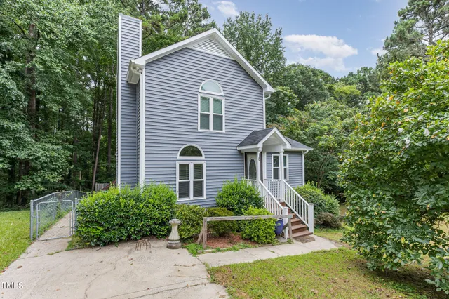 a view of backyard with potted plants and a large tree