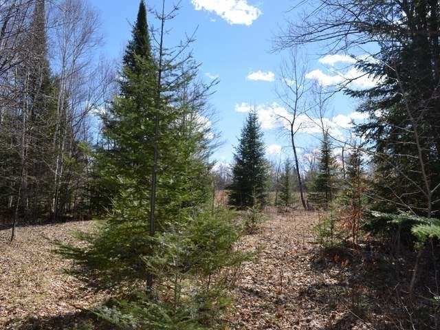 N9968 Gouda Road Tomahawk, WI 54487 - Photo 19 of 20 Gallery Image 19