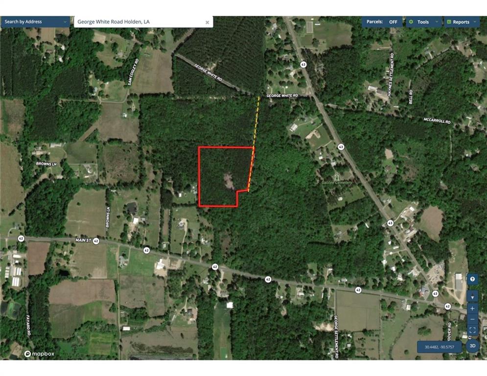 30854 George White Road Holden, LA 70744 - Photo 3 of 5