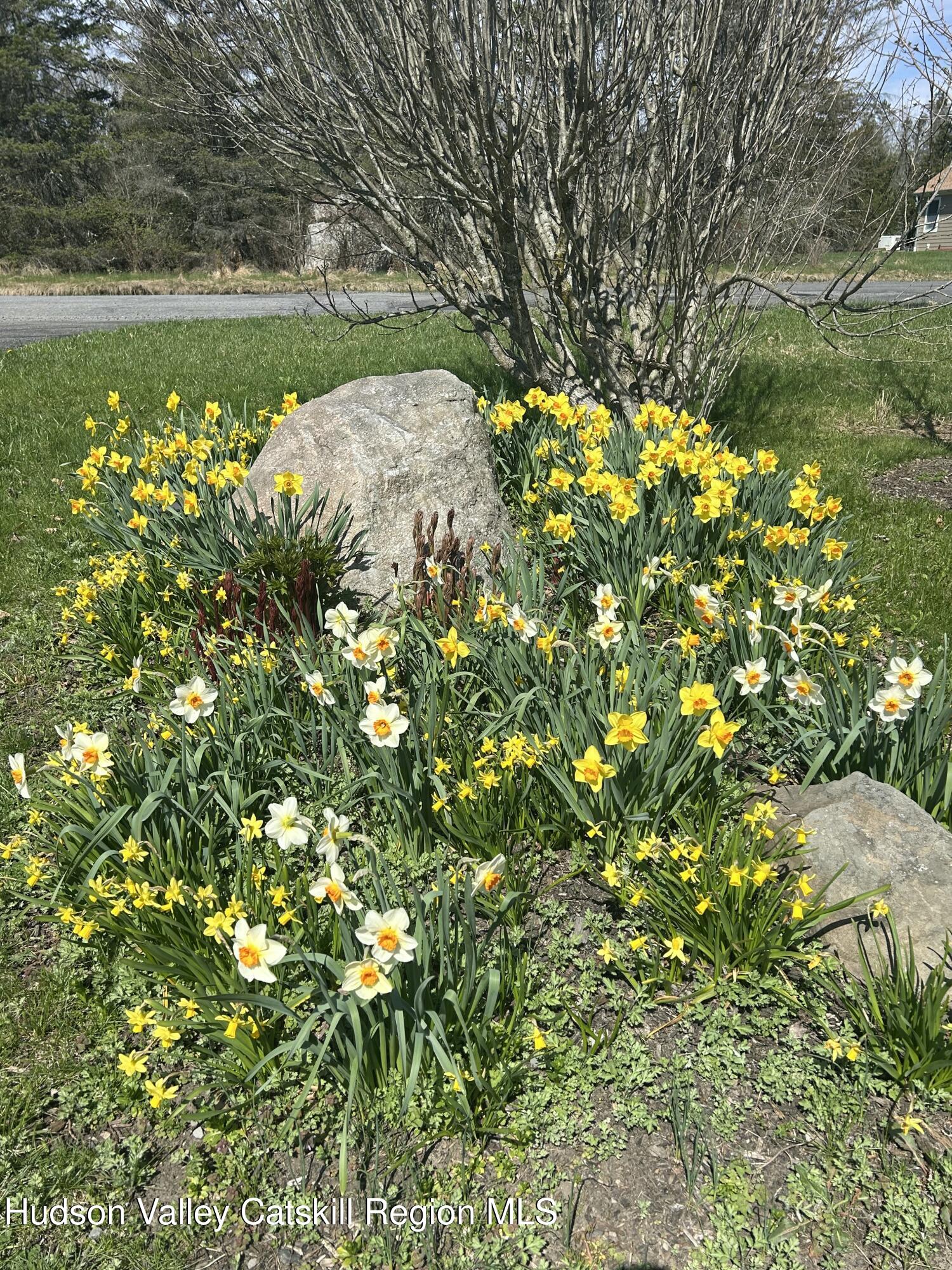 6 High Ridge Road New Paltz, NY 12561 - Photo 67 of 67 IMG_2017