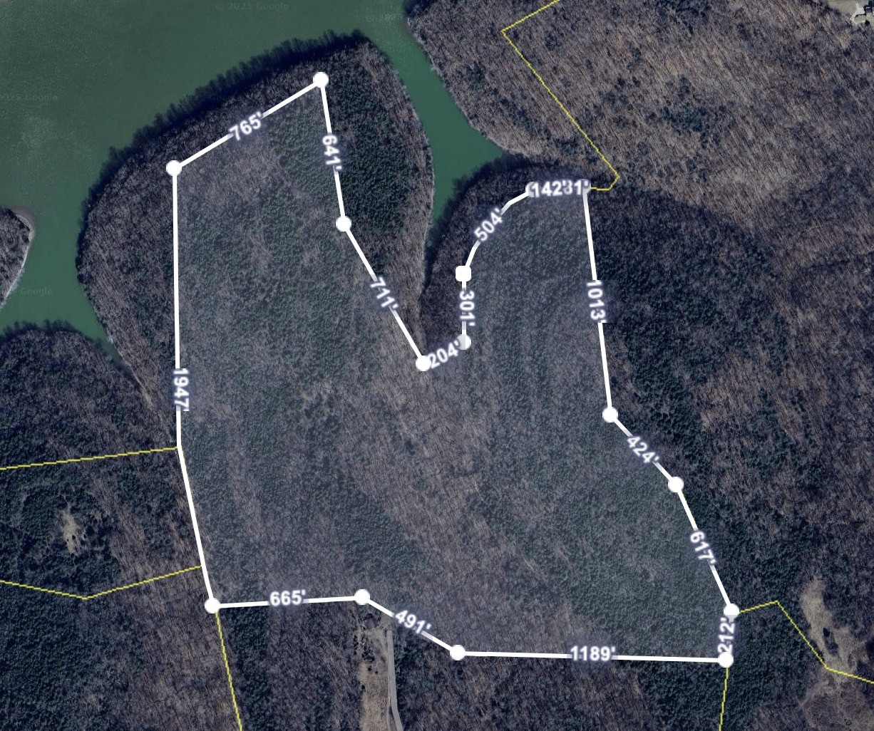 0 Huff Hollow Road Granville, TN 38564 - Photo 15 of 39 a view of entryway