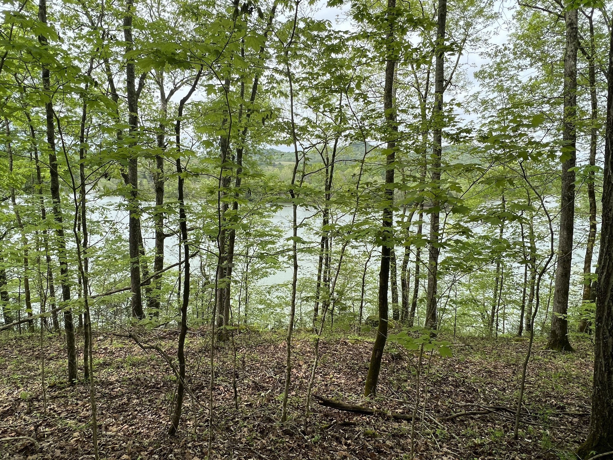 0 Huff Hollow Road Granville, TN 38564 - Photo 22 of 39 a backyard of a house with lots of green space