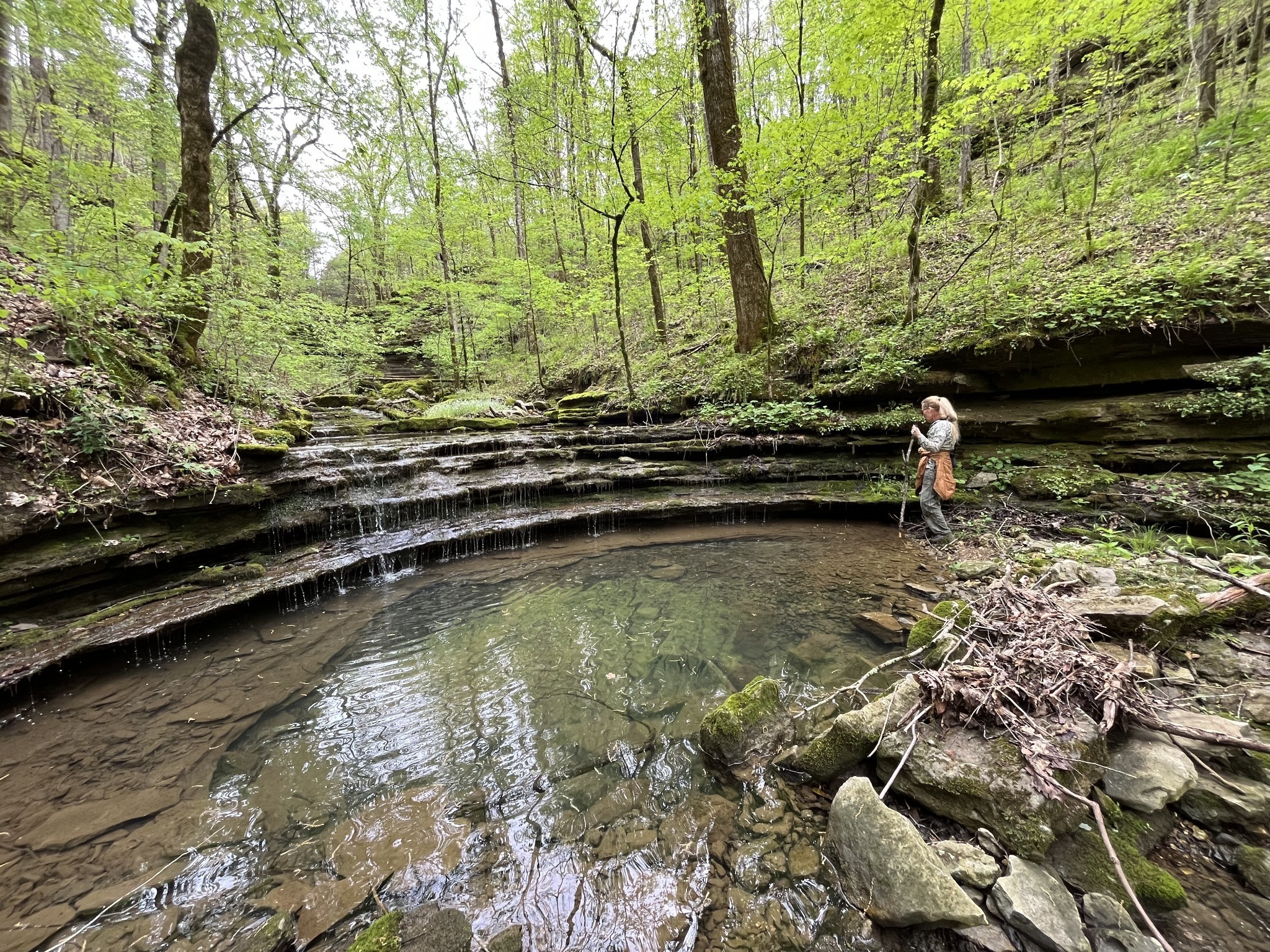 0 Huff Hollow Road Granville, TN 38564 - Photo 39 of 39 a view of swimming pool with a yard