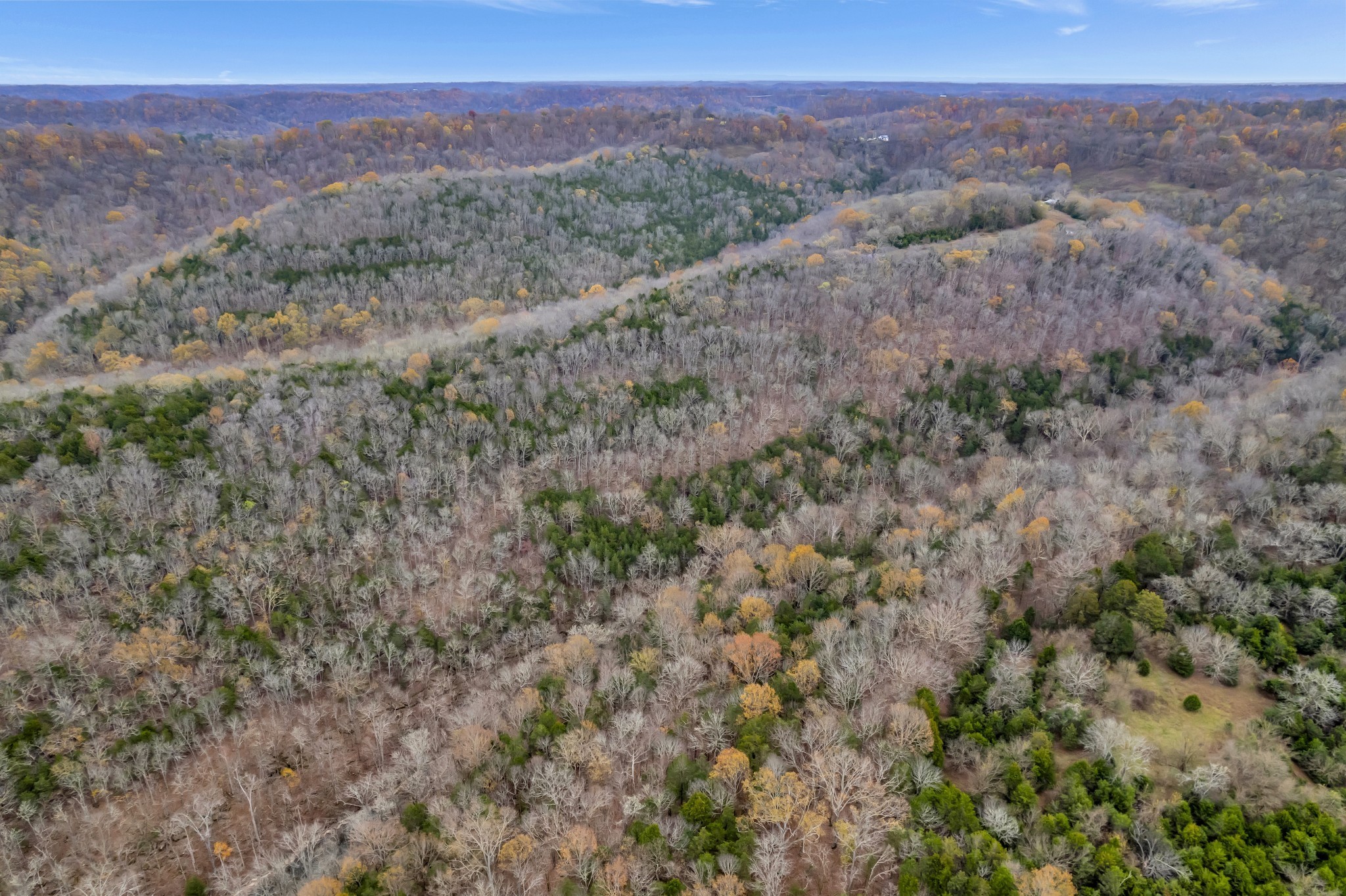 0 Huff Hollow Road Granville, TN 38564 - Photo 4 of 39 a view of a city with lush green forest