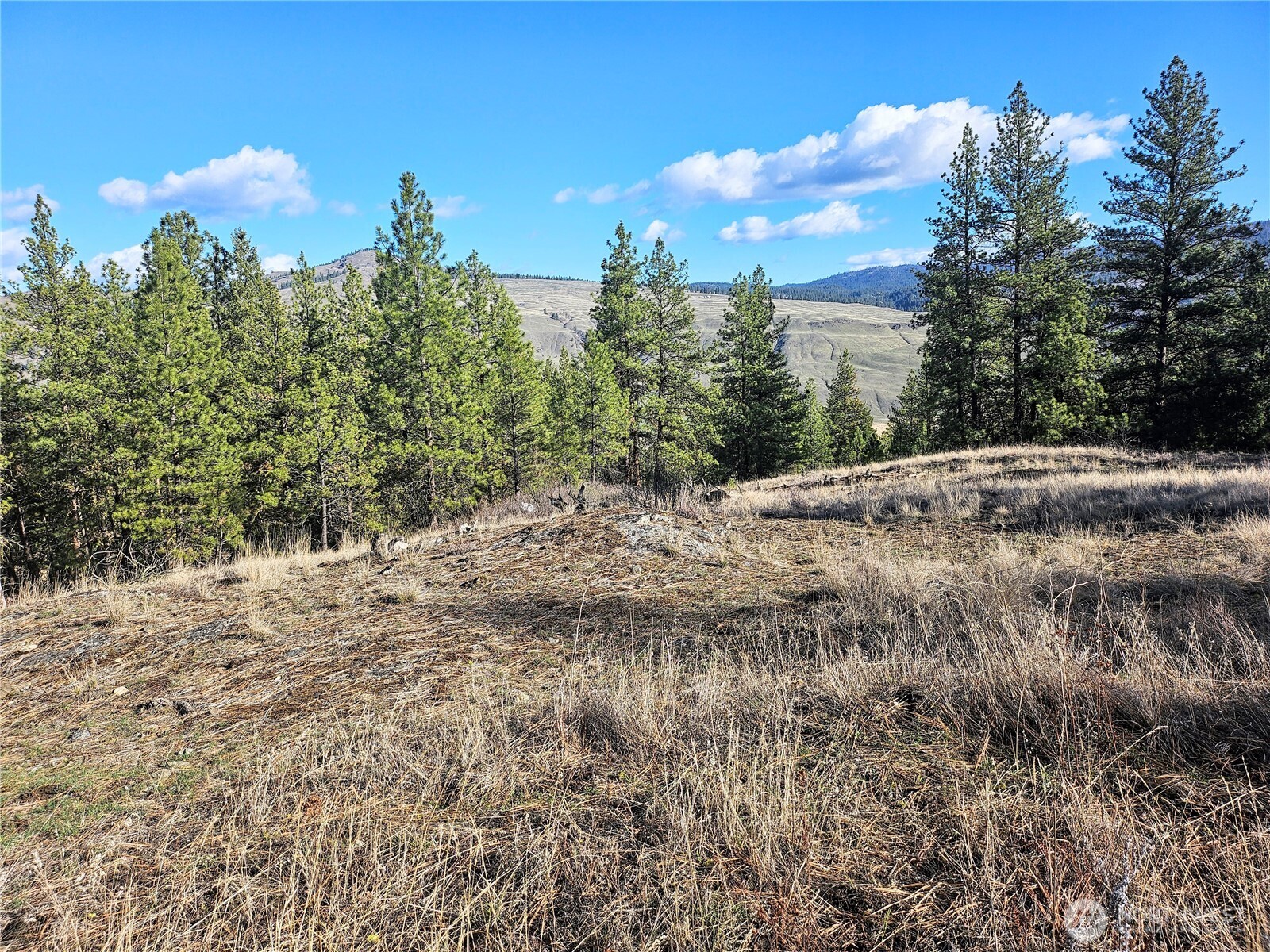 380 Lot Chopaka Tbd Road Tonasket, WA 98855 - Photo 2 of 12