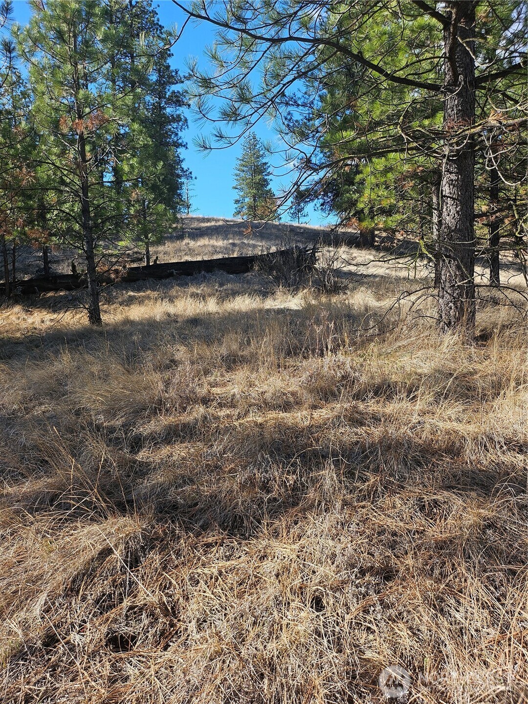 380 Lot Chopaka Tbd Road Tonasket, WA 98855 - Photo 7 of 12 a view of a lake with mountain view