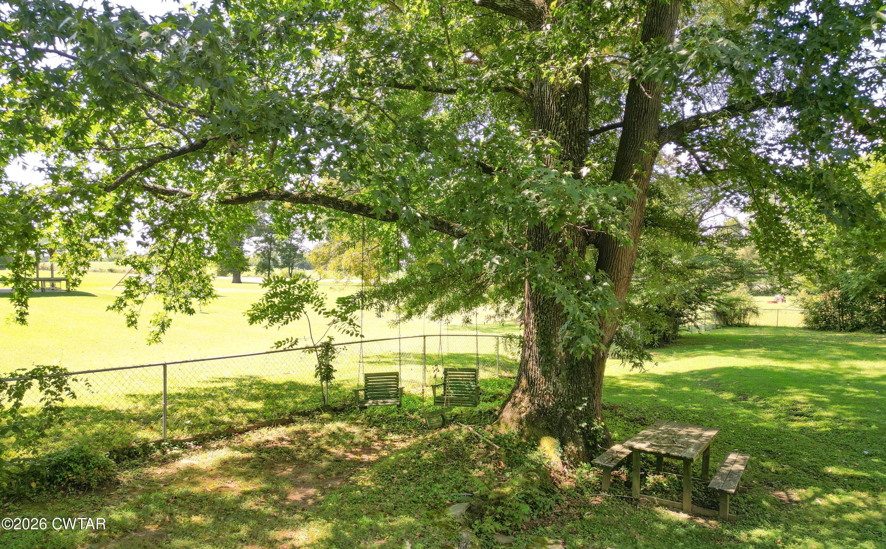 25 Poplar Corner Road Bells, TN 38006 - Photo 36 of 36 Tree-Chairs