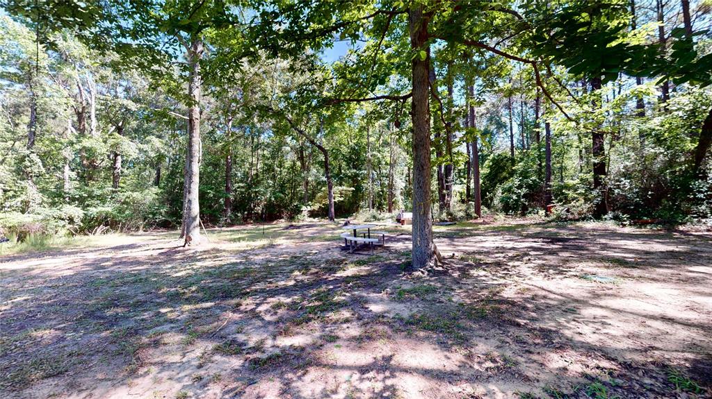 670 Arbin Culpepper Road Jonesboro, LA 71251 - Photo 15 of 17 a view of a forest with trees