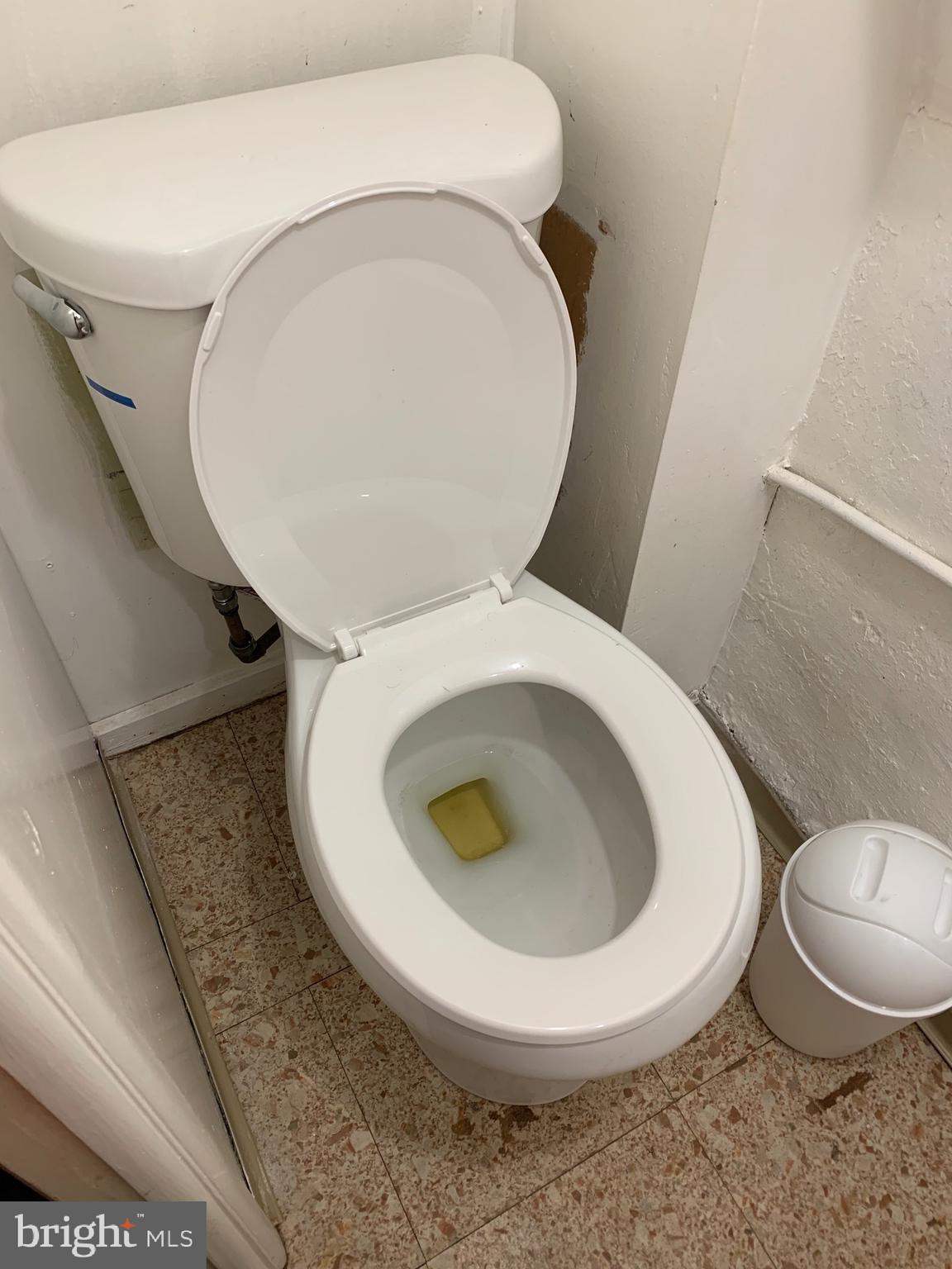 3115 Fanshawe Street Philadelphia, PA 19149 - Photo 8 of 14 Unit 1: Basement's toilet