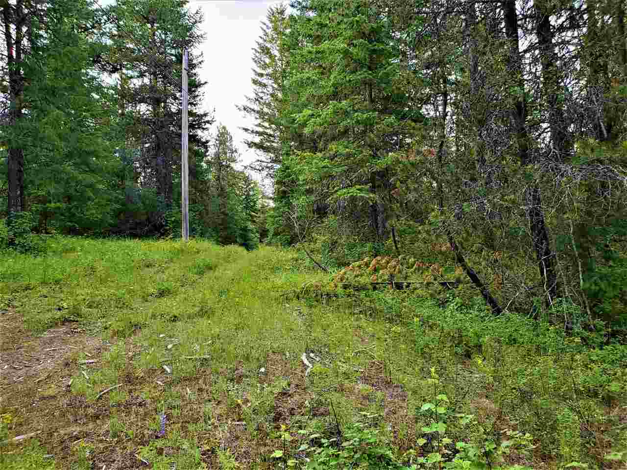 Nkn Lookout Road Newport, WA 99156 - Photo 14 of 16 Gallery Image 14