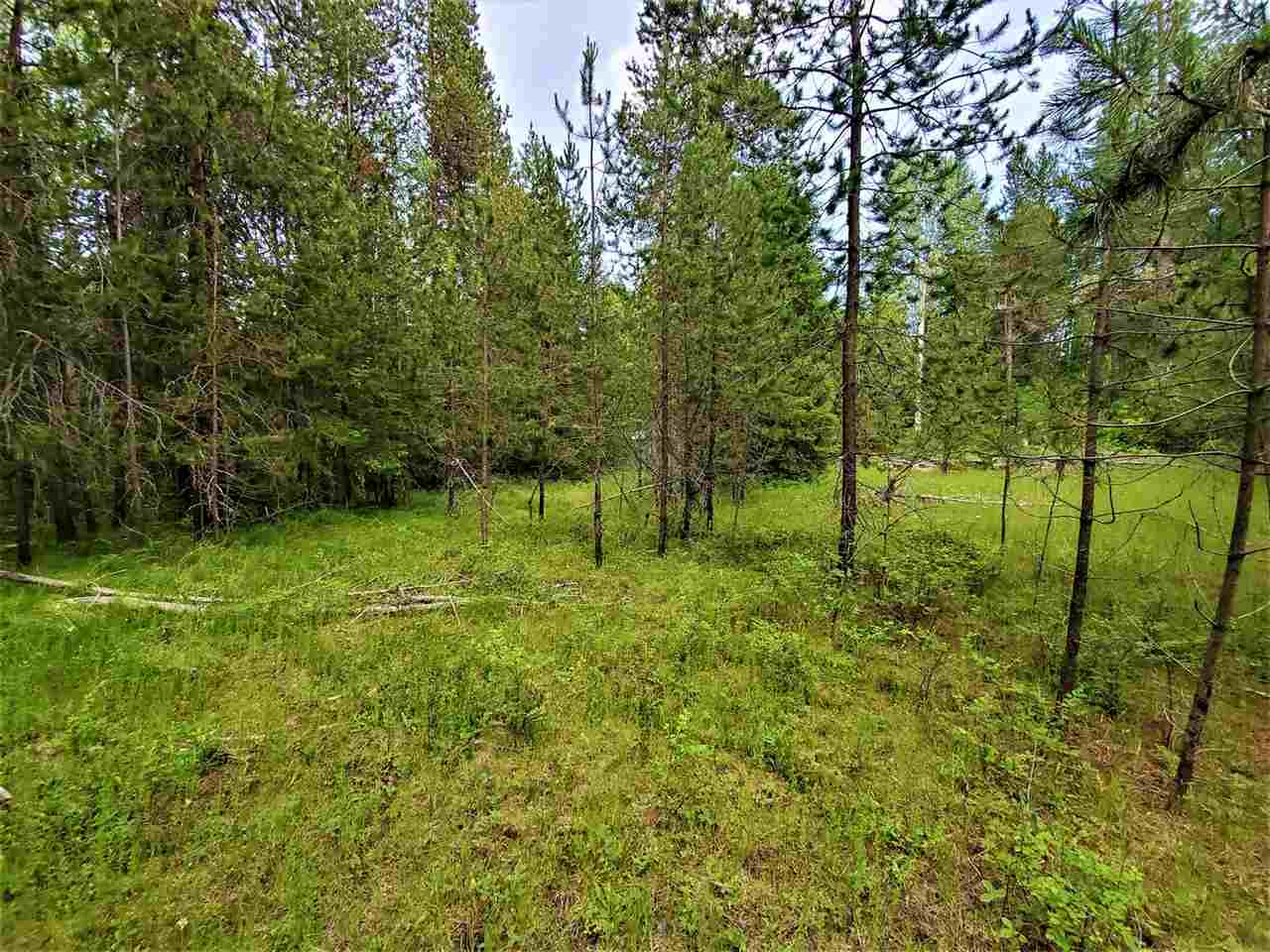 Nkn Lookout Road Newport, WA 99156 - Photo 3 of 16 Gallery Image 3