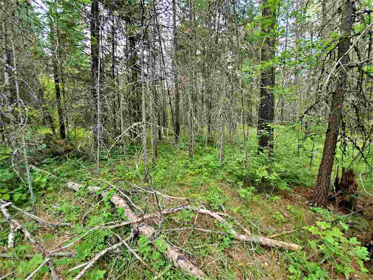 Nkn Lookout Road Newport, WA 99156 - Photo 4 of 16 Gallery Image 4