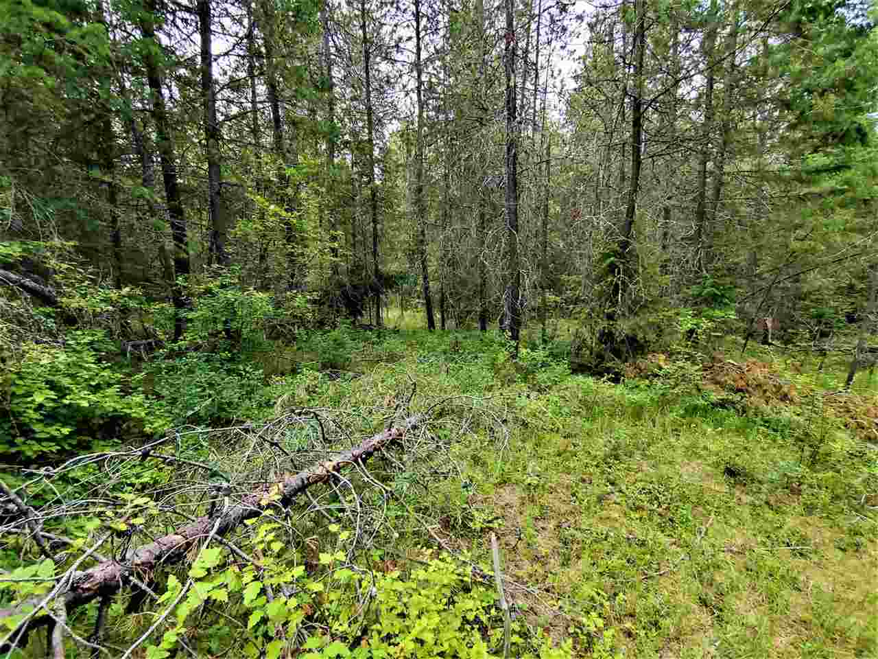 Nkn Lookout Road Newport, WA 99156 - Photo 5 of 16 Gallery Image 5