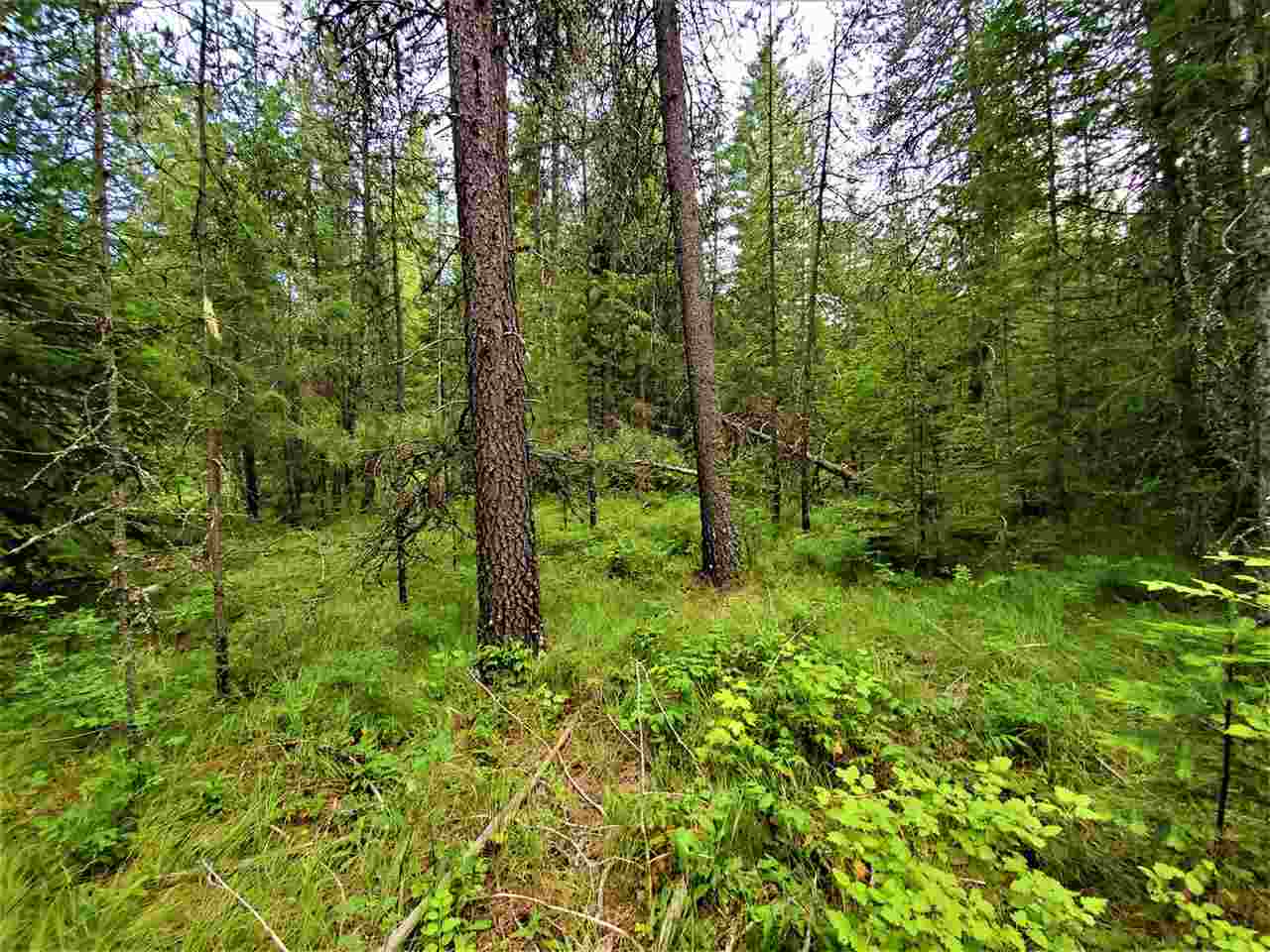 Nkn Lookout Road Newport, WA 99156 - Photo 7 of 16 Gallery Image 7