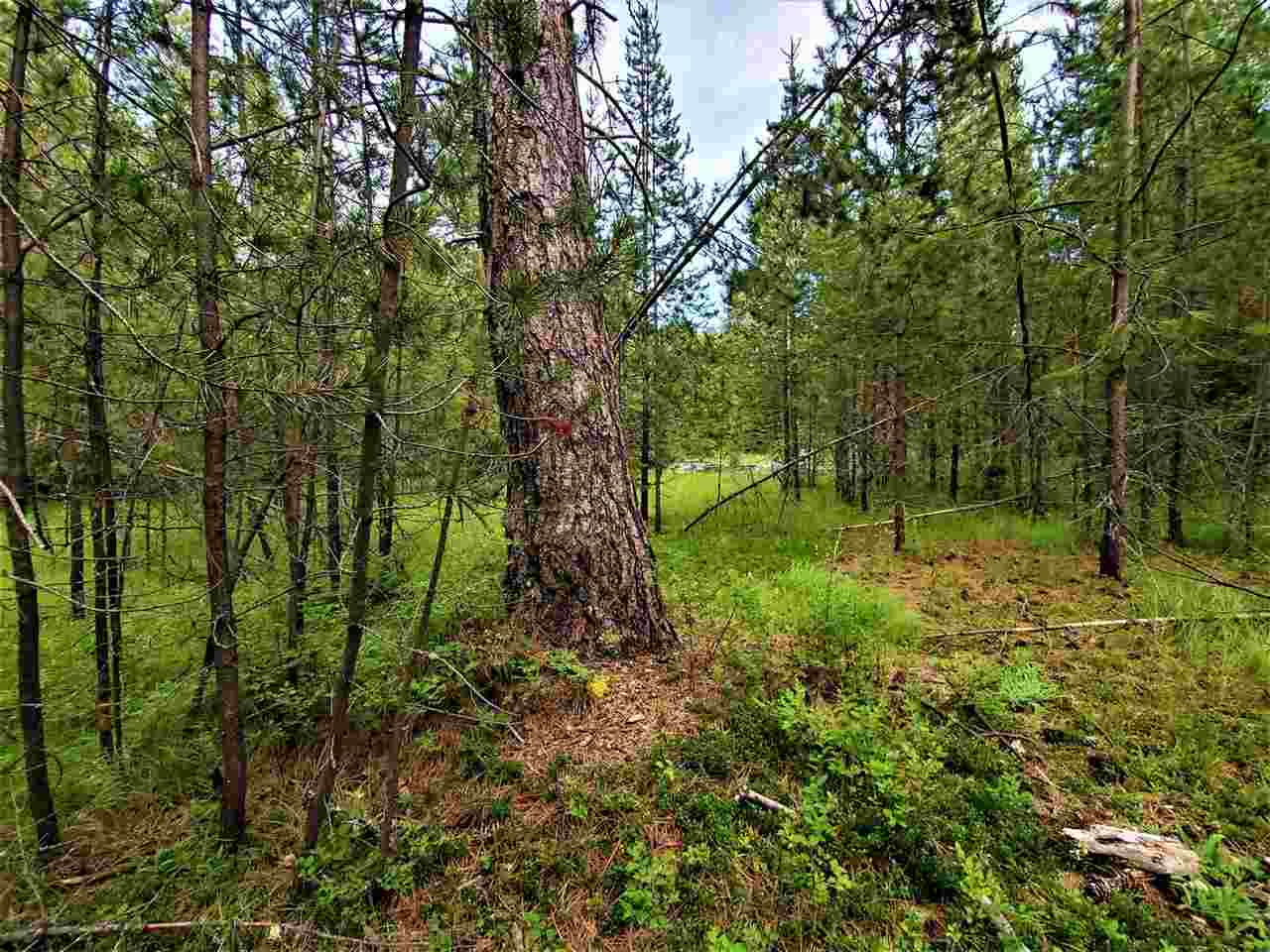 Nkn Lookout Road Newport, WA 99156 - Photo 8 of 16 Gallery Image 8