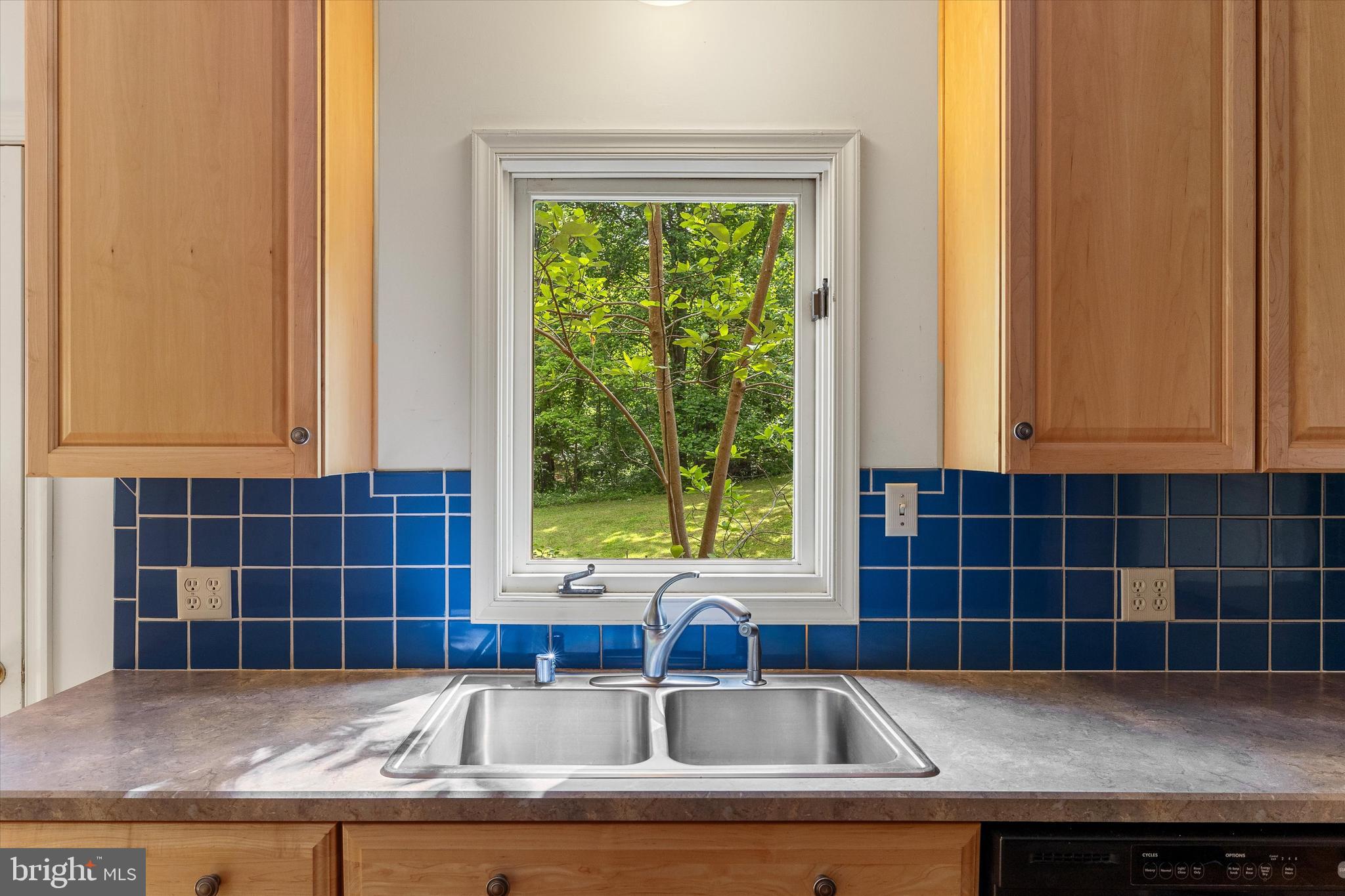 112 Old Forest Circle Winchester, VA 22602 - Photo 22 of 77 a view of a sink and dishwasher with a granite countertops