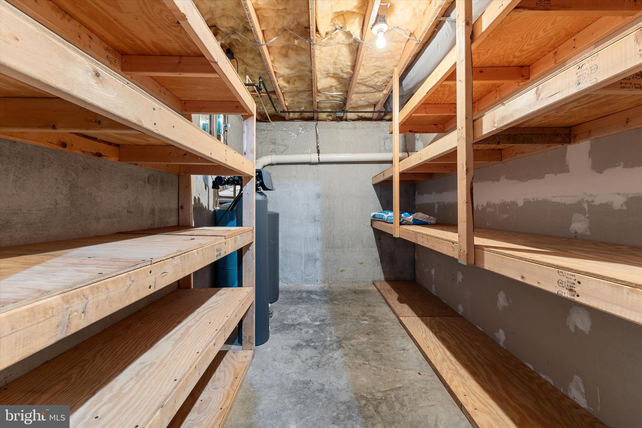 112 Old Forest Circle Winchester, VA 22602 - Photo 51 of 77 Lower Level storage