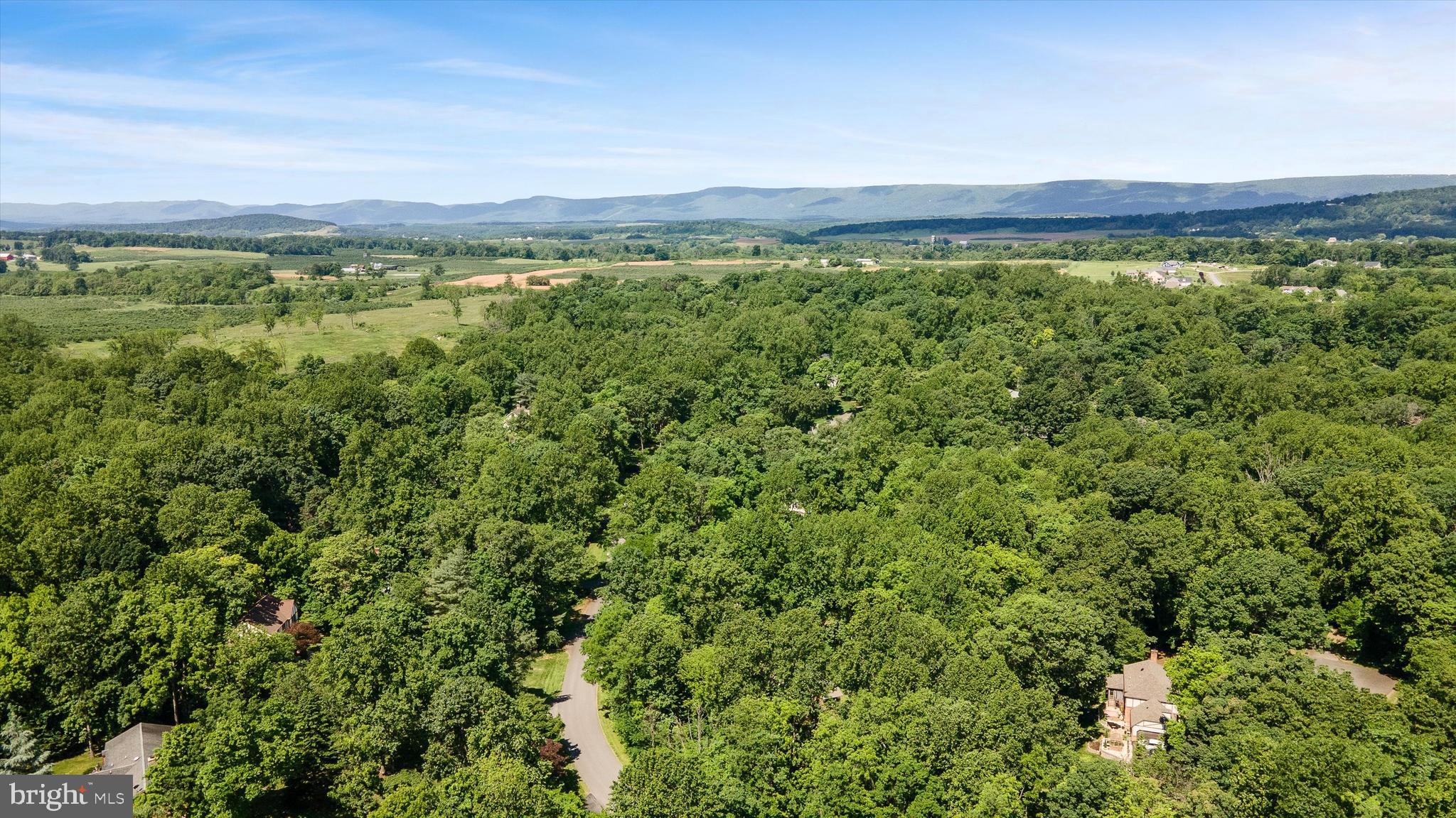 112 Old Forest Circle Winchester, VA 22602 - Photo 70 of 77 a view of an outdoor space with a lake view