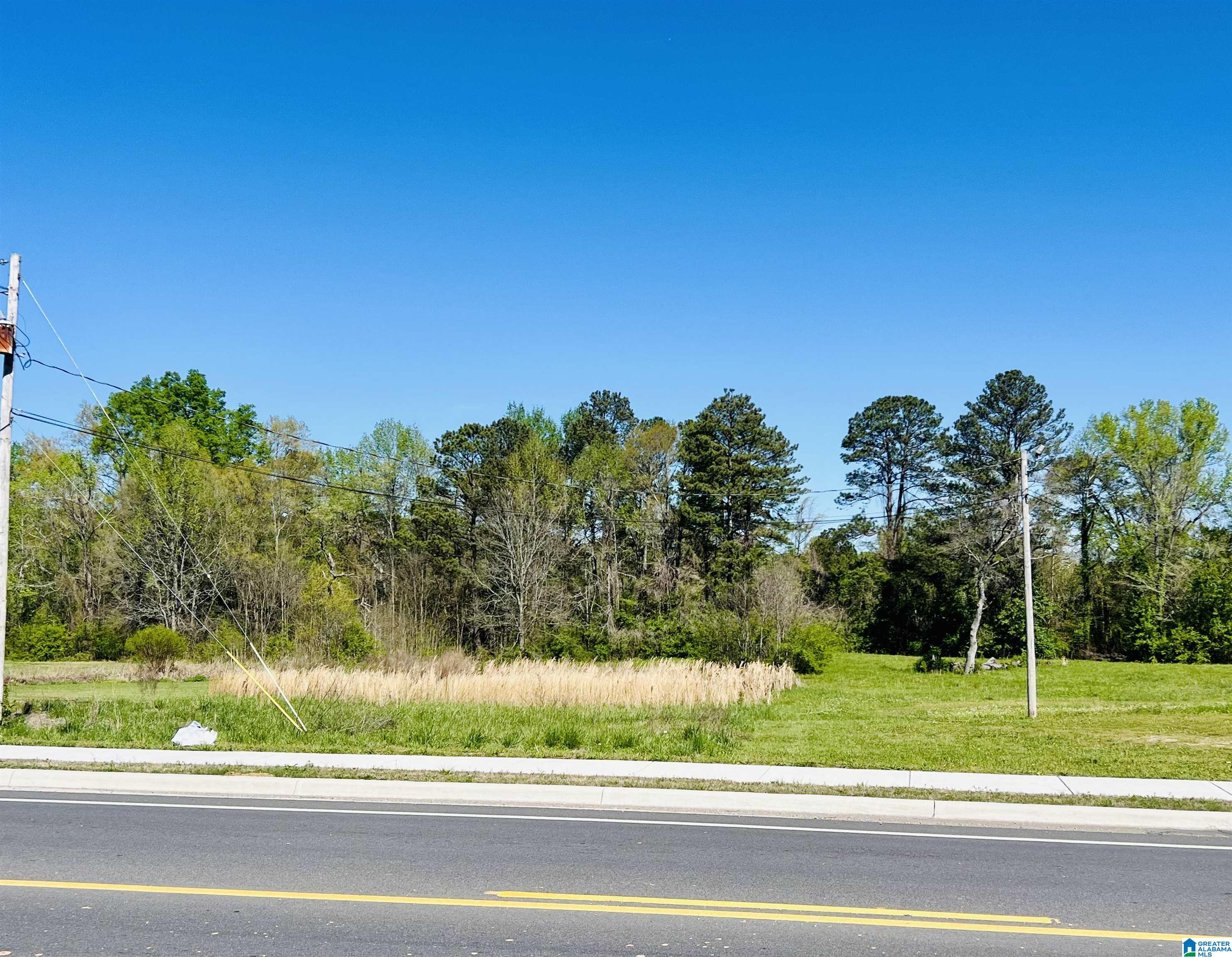 0 Highway 79 Locust Fork, AL 35097 - Photo 1 of 1