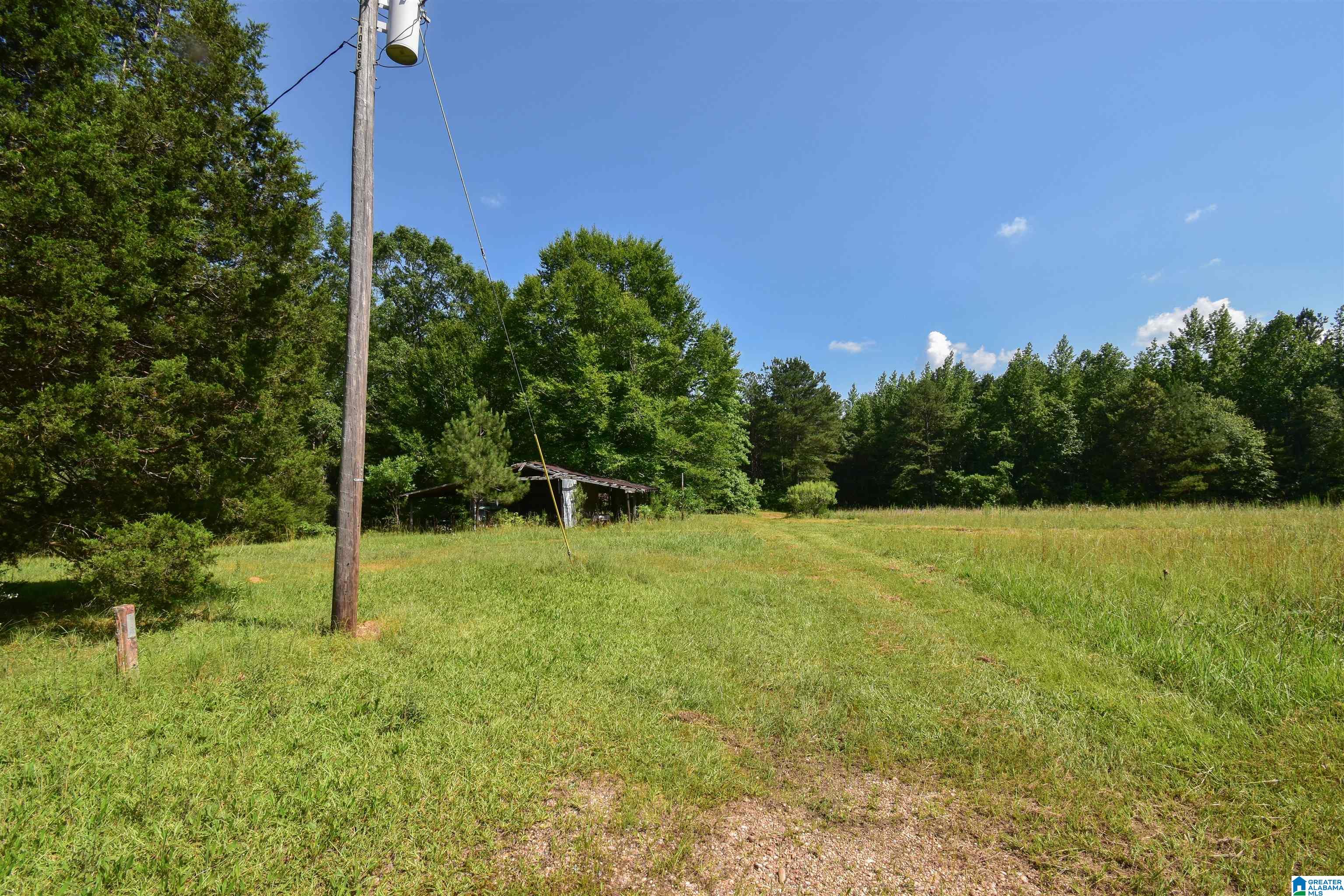 373 Myers Road Berry, AL 35546 - Photo 56 of 74