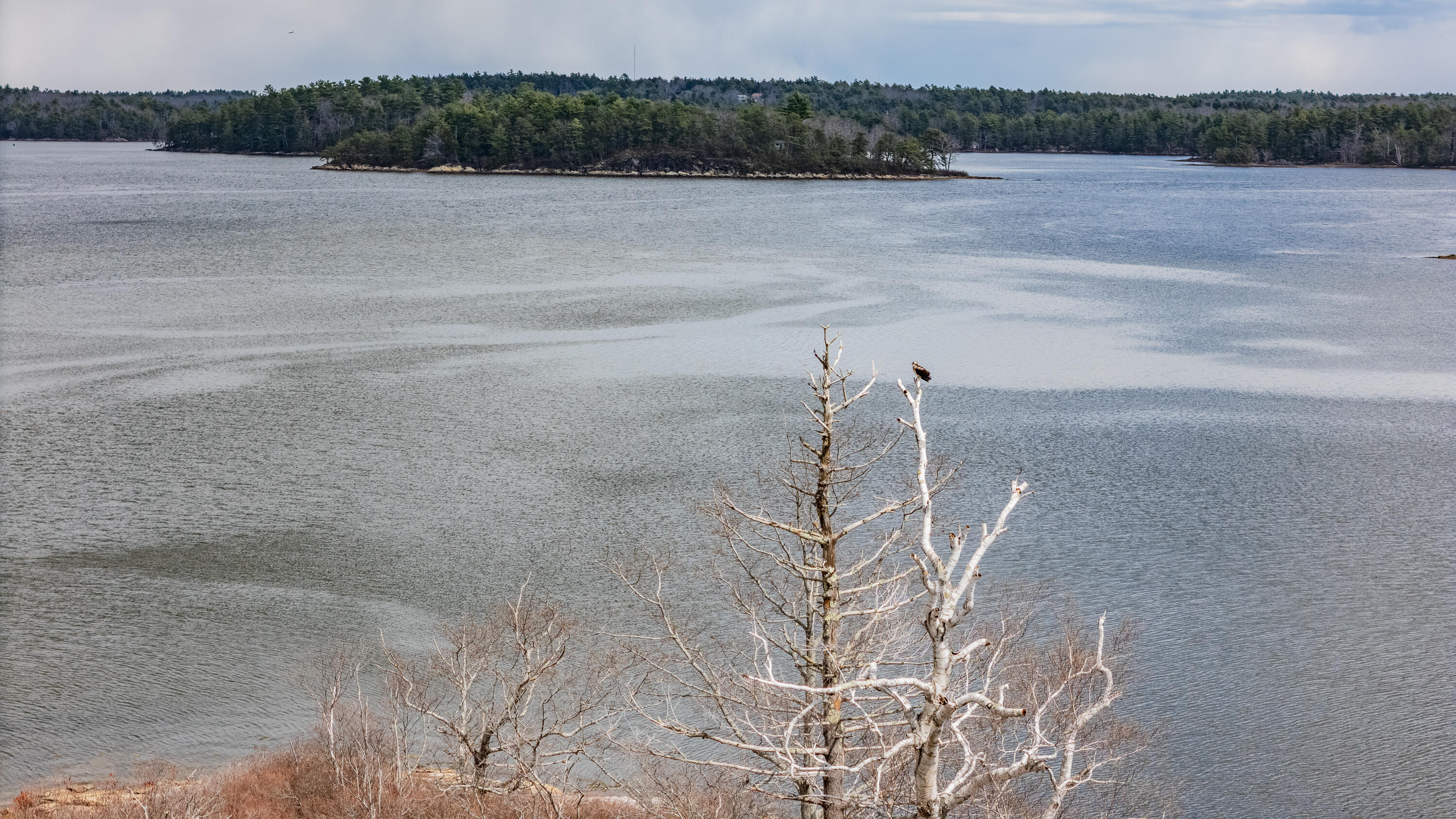 105 Mill Island Road Arrowsic, ME 04530 - Photo 193 of 209 105 Mill Island Road Arrowsic 193