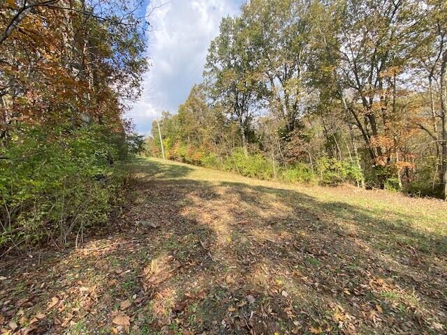 697 Galbraith Road Brooksville, KY 41004 - Photo 3 of 4