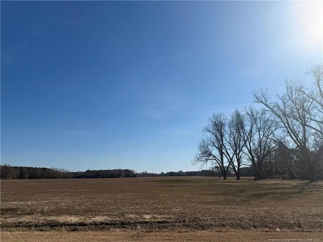 $25,000 | Lot B Pleasant Hope Road, Fairmont, NC 28340