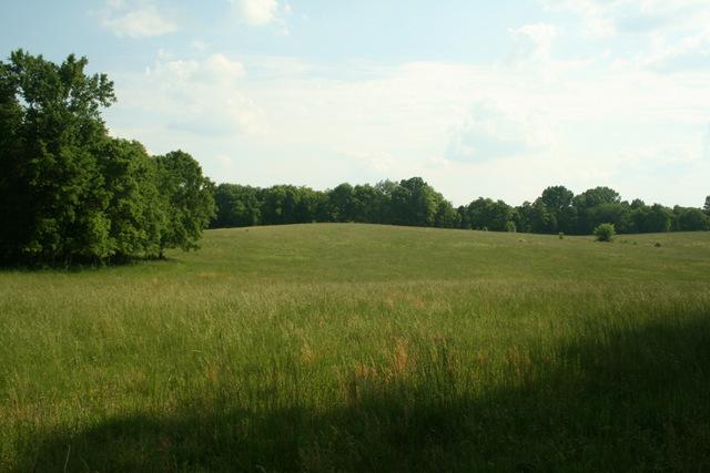 0 Harris Road Columbia, TN 38401 - Photo 11 of 20 Gallery Image 11