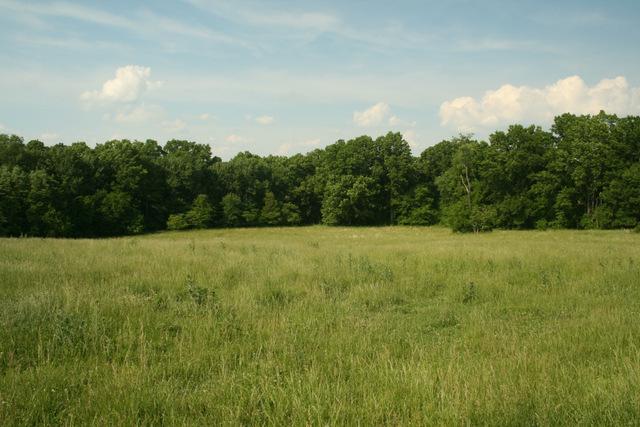 0 Harris Road Columbia, TN 38401 - Photo 12 of 20 Gallery Image 12