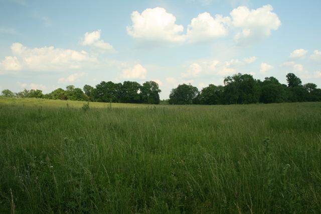 0 Harris Road Columbia, TN 38401 - Photo 14 of 20 Gallery Image 14
