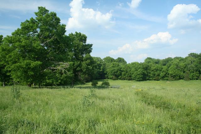 0 Harris Road Columbia, TN 38401 - Photo 15 of 20 Gallery Image 15