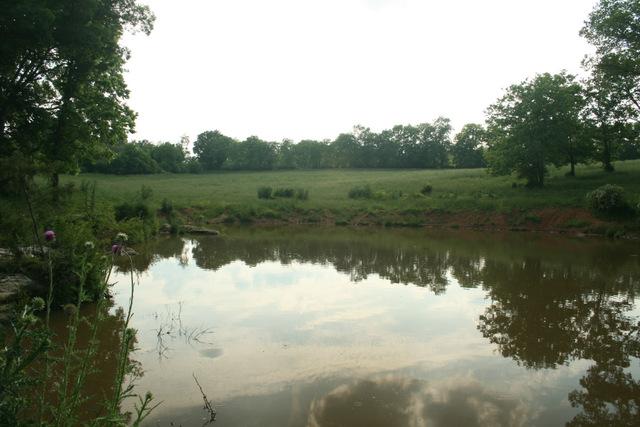 0 Harris Road Columbia, TN 38401 - Photo 17 of 20 Gallery Image 17