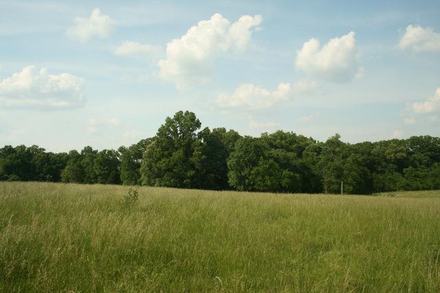 0 Harris Road Columbia, TN 38401 - Photo 9 of 20 Gallery Image 9