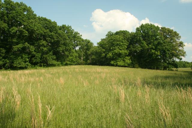0 Harris Road Columbia, TN 38401 - Photo 10 of 20 Gallery Image 10