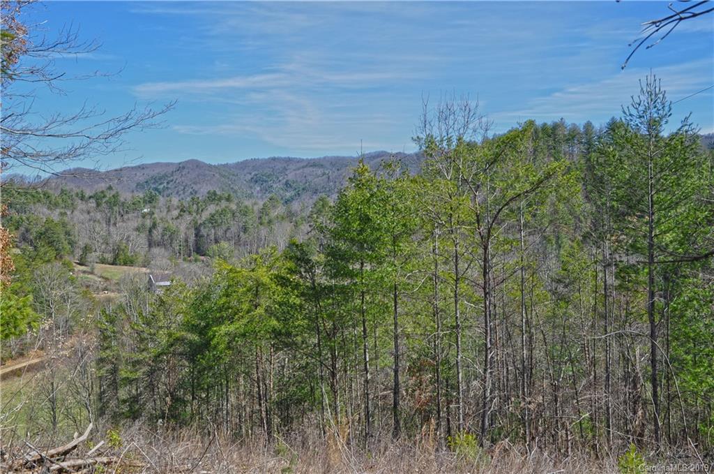 153 Gorenflo Gap Road Hot Springs, NC 28743 - Photo 11 of 24 Gallery Image 11