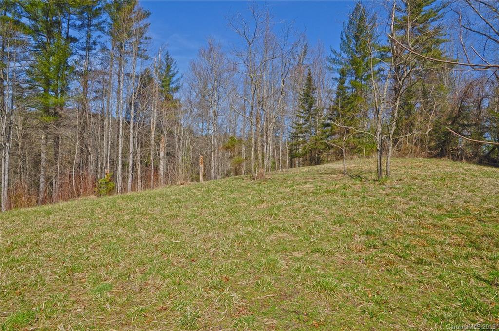 153 Gorenflo Gap Road Hot Springs, NC 28743 - Photo 12 of 24 Gallery Image 12