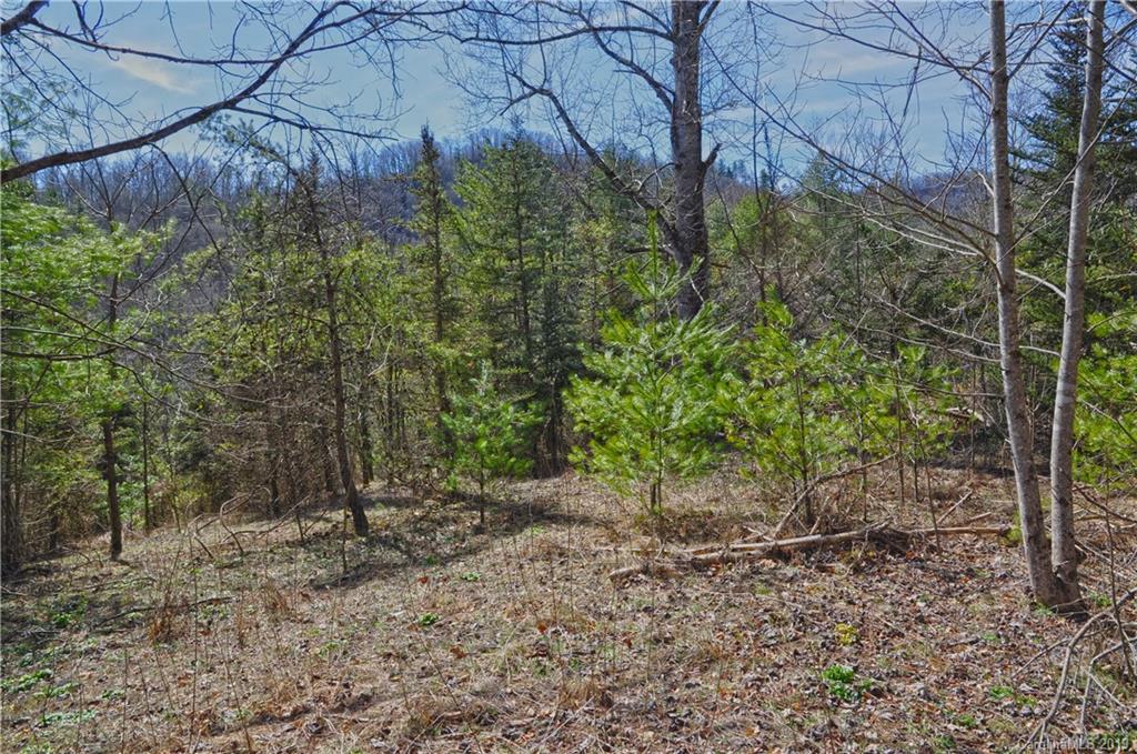 153 Gorenflo Gap Road Hot Springs, NC 28743 - Photo 13 of 24 Gallery Image 13