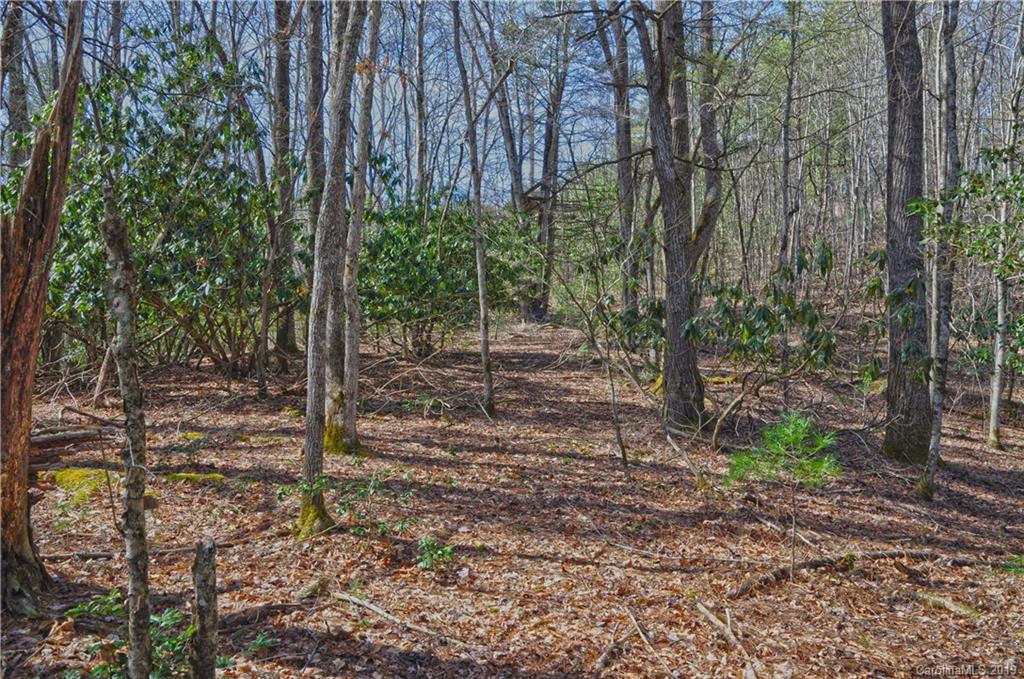 153 Gorenflo Gap Road Hot Springs, NC 28743 - Photo 14 of 24 Gallery Image 14