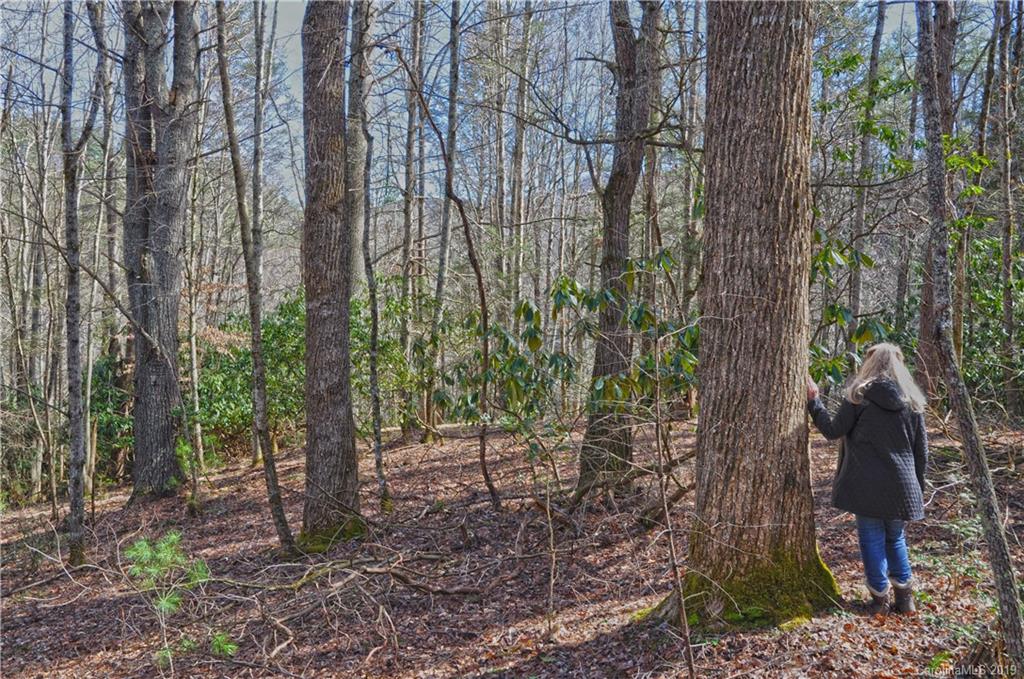 153 Gorenflo Gap Road Hot Springs, NC 28743 - Photo 15 of 24 Gallery Image 15