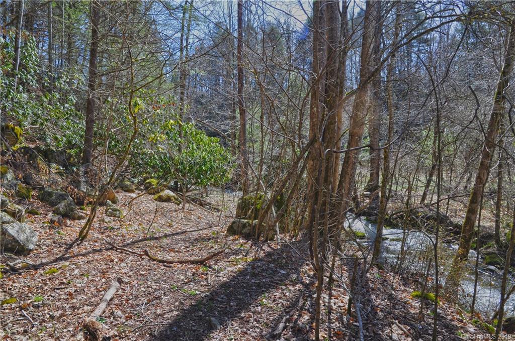 153 Gorenflo Gap Road Hot Springs, NC 28743 - Photo 16 of 24 Gallery Image 16