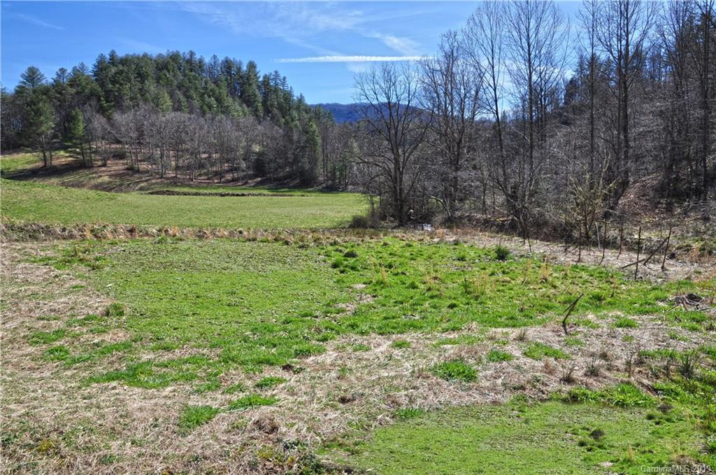 153 Gorenflo Gap Road Hot Springs, NC 28743 - Photo 18 of 24 Gallery Image 18