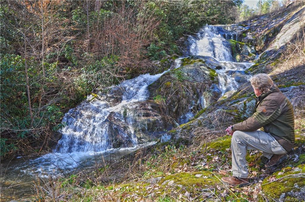 153 Gorenflo Gap Road Hot Springs, NC 28743 - Photo 24 of 24 Gallery Image 24
