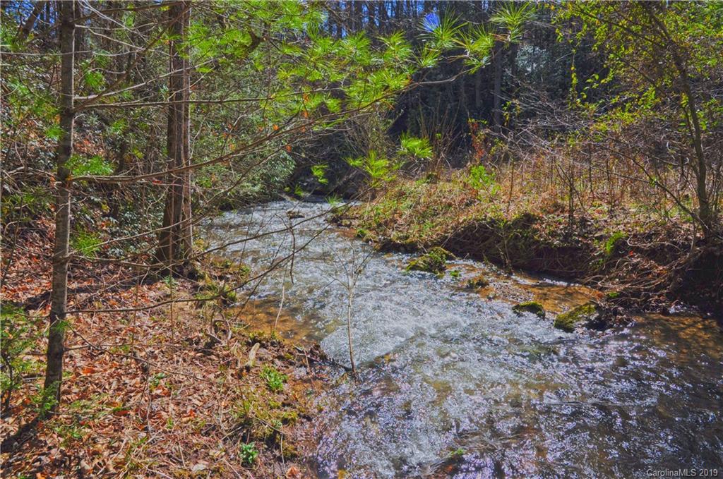 153 Gorenflo Gap Road Hot Springs, NC 28743 - Photo 9 of 24 Gallery Image 9